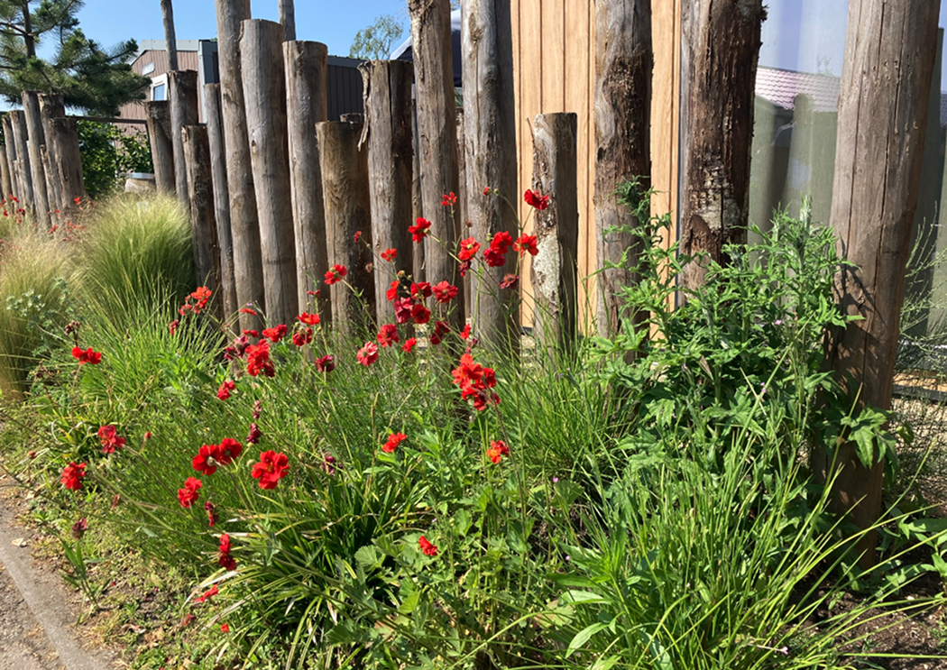 Domein:  Circulariteit